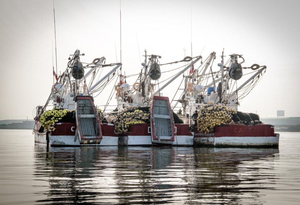 Fishing trawlers in the sea