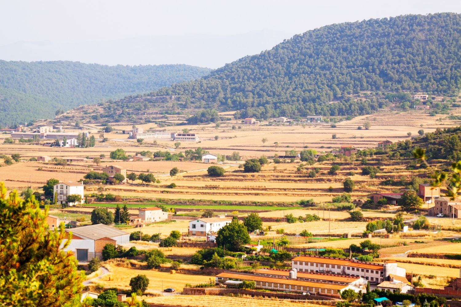 Far photo of remote buildings in a rural area to illustrate a blog on how satellite internet broadband can help