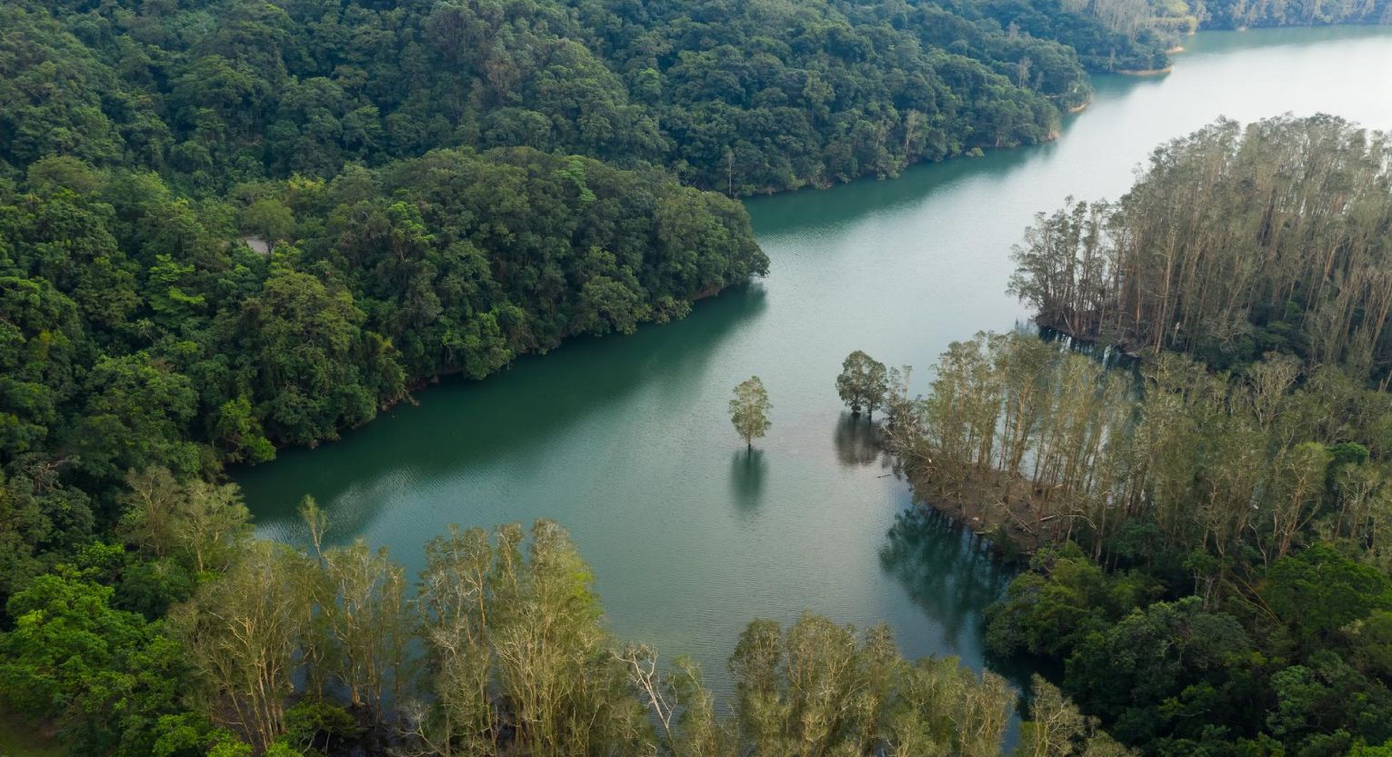 Aerial photo of river