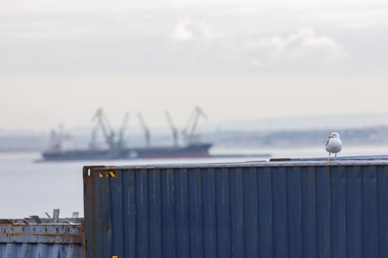 Gaviota encima de un contenedor en un puerto con un barco al fondo